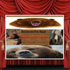 Brownie the Bear - Stories Photo Book