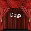 Dogs - Pets Photo Book
