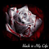 Black photograph  - Stories Photo Book