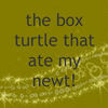 the box turtle that ate my newt - Pets Photo Book