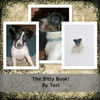 Bitty - Pets Photo Book