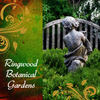 Ringwood Botanical Gardens - Nature Photo Book