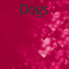 Dogs - Pets Photo Book