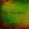 My flowers - Nature Photo Book