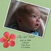 Lily - 1st month - Baby Photo Book