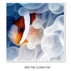 Pipo the clown fish - Stories Photo Book