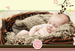 Mixbook Baby Editable Theme - Photo Book