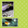 Student Sample - Education Photo Book