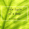 Plant Life Cycle - Nature Photo Book