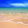 Panama City Beach 2009 - Travel Photo Book