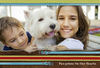 Pet - Pets Photo Book