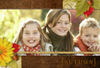 Autumn - Nature Photo Book