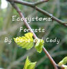 Ecosystems: Forests - Nature Photo Book