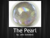The Pearl by John Steinbeck - Education Photo Book