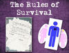 The Rules of Survival - Stories Photo Book