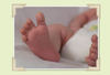 Sean Thorup - Baby Photo Book