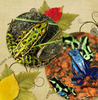 Frogs and Such - Pets Photo Book