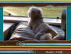 Mandie's Thoughts - Pets Photo Book