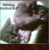 SONNY(snickers) & SHARE(smores) - Pets Photo Book