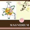 Magnesium's Baby Book - Education Photo Book