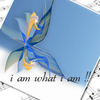 i am what i am !! - Events Photo Book
