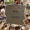 Our Pet - Nature Photo Book