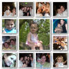 Donna Rocks Socks! - Family Photo Book