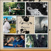 The Adventure Begins - Interests Photo Book
