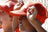 141_163227_t