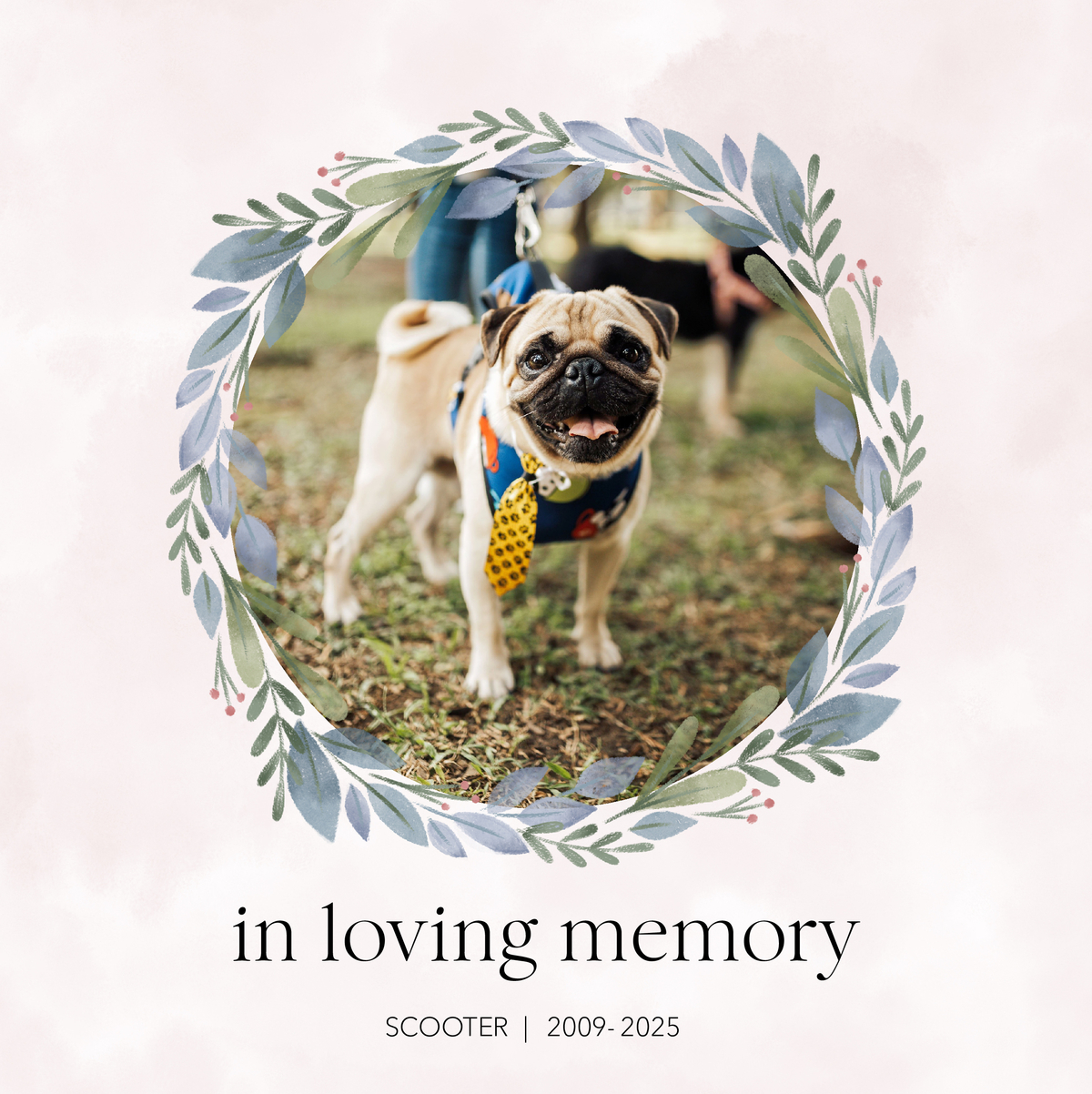 Furever Friend Dog Remembrance Book by PetSmart All Photo Books