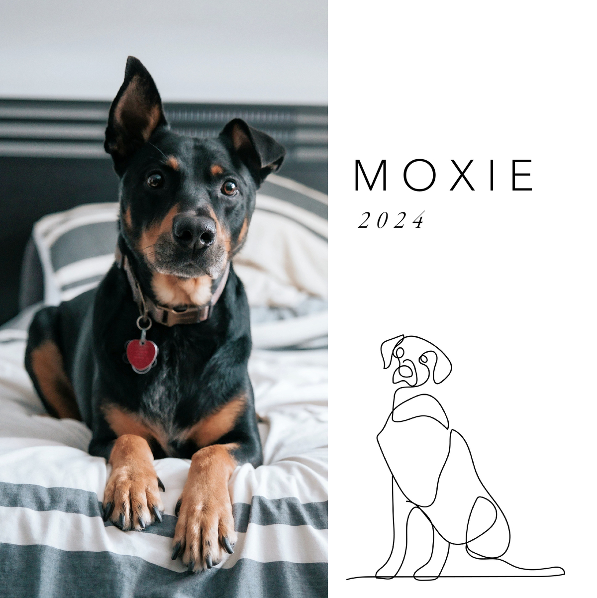 Dog Coffee Table Book 19 Pages by PetSmart Pet Photo Books